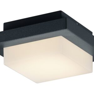 Plafonnier/Applique extérieure LED anthracite