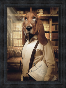 Image 50x70 encadrée