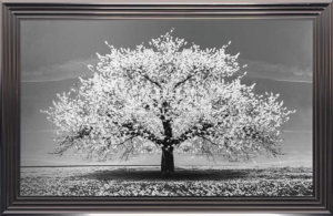 Image encadrée 114x74