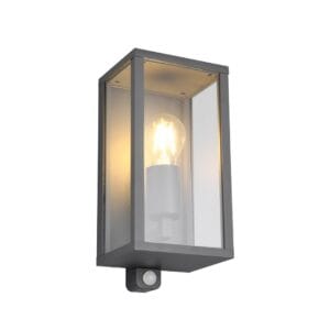 Applique extérieure à détection anthracite verre clair