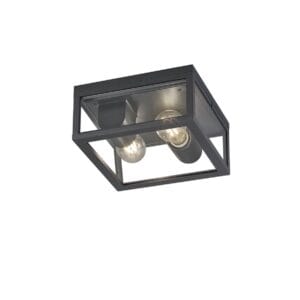 Plafonnier extérieur double anthracite verre clair