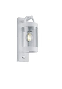 Applique extérieure à détection blanche diffuseur clair